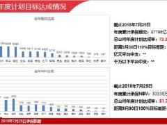 分公司8月达成进度工作主题具体规划风险与合规73页.pptx