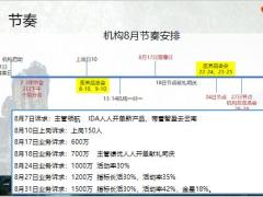 8月节奏资源机构8月节奏安排资源投放会议经营业务费用7页.pptx
