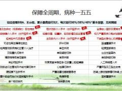 华夏菩提树鑫享版重大疾病保险产品形态投保案例16页.pptx