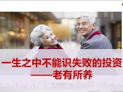 阳光人寿阳光升终身寿险产品介绍功用价值责任特色案例解析含备注49页.pptx