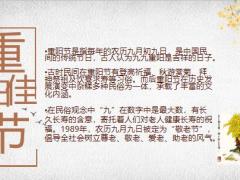2020精准服务重阳节主题活动36页.pptx