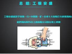 看看大众眼中的有的小保险公司有多牛22页.pptx