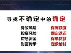 恒安标准恒爱年年尊享版理念沟通产品解析17页.pptx