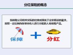 分红保险的概念基础知识产品实例展示19页.pptx