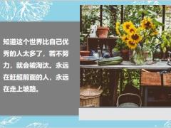 每日鸡汤励志人生不是努力都有收获但收获都必须努力.rar