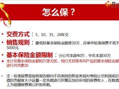 泰康如意宝保险产品计划介绍28页.pptx