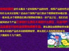 给你一眼看穿保险的能力十三太保24页.pptx