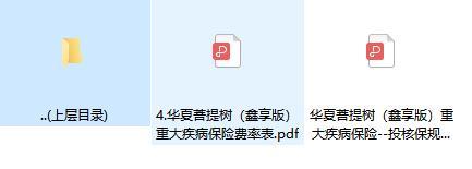 华夏菩提树鑫享版重大疾病保险费率表.rar