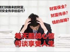 国寿乐鑫传福开发背景产品介绍亮点20页.pptx