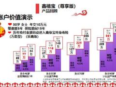 国寿鑫福人生产品销售逻辑提炼41页.pptx