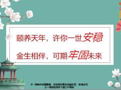 新华颐养金生相伴幸福产品分析篇35页.pptx