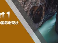 太平吉祥人生新养老理念产品学习销售逻辑65页.pptx