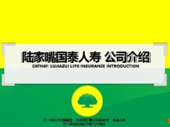 陆家嘴国泰公司经营发展企业特色泰服务体系31页.pptx