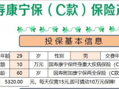 国寿康宁保C自动计划书.xlsx