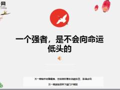 每日鸡汤励志人生一个强者是不会向命运低头的.rar