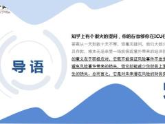 新华保险2020年6月十大赔案13页.ppt
