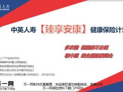 中英人寿臻享安康健康保险产品开发背景流程服务24页.pptx