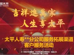 太平人寿分公司服务拓展渠道客户服务活动66页.pptx