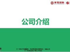华夏保险常青树多倍版2.0产品责任投保案例26页.pptx