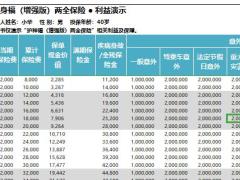 华夏护身福增强版简版自动计划书.xlsx