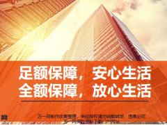 华夏常青树特惠版产品解析形态优势责任53页.pptx