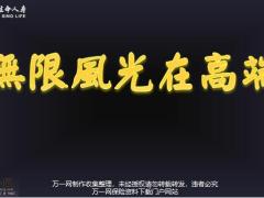 富德生命富贵管家账户促成高端招式38页.pptx