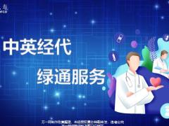 中英经代绿通服务介绍17页.pptx