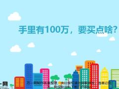 手里有100万要买点啥16页.pptx