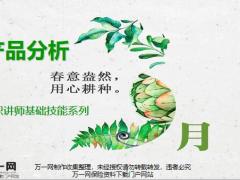 兼职讲师基础技能系列产品分析的意义目的方法优势策略基本要素15页.pptx