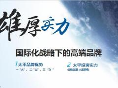 民族保险品牌太平91周年全景介绍50页.pptx