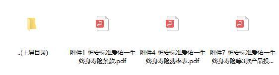 恒安标准爱佑一生终身寿险条款费率表.rar