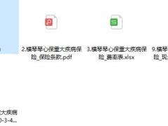 横琴琴心保重大疾病保险保险条款费率表现金价值.rar