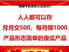 太平吉祥人寿销售逻辑销售动作28页.pptx
