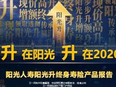 阳光人寿阳光升终身寿险产品报告45页.pptx