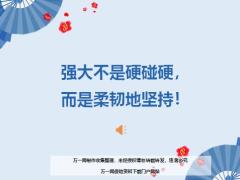 每日鸡汤励志人生强大不是硬碰硬而是柔韧地坚持.rar