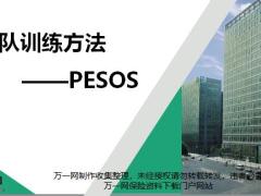 团队训练方法PESOS原理实作含备注61页.pptx