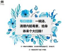 每日健康一碗汤清理内脏毒素给身体来个大扫除11页.ppt