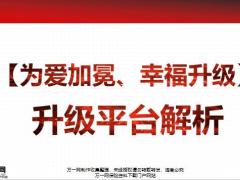 为爱加冕幸福升级升级平台解析14页.pptx