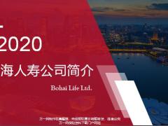 2020版渤海人寿公司简介8页.pptx