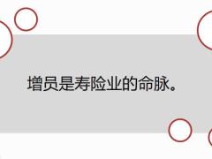 2020寿险增员要点含备注21页.pptx