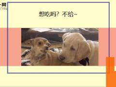 每日快乐早会20年7月29日使用12页.ppt