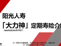 阳光人寿大力神定期寿险产品解析评测QA17页.pptx
