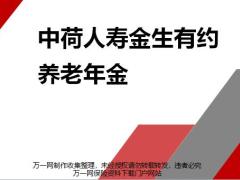 中荷人寿金生有约养老年金基本形态案例演示20页.pptx