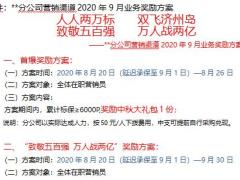 分公司营销渠道2020年9月业务奖励方案4页.pptx