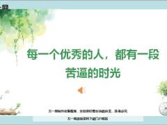 每日鸡汤励志人生每一个优秀的人都有一段苦逼的时光.rar