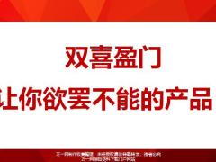 华夏双喜盈门让你欲罢不能的产品29页.pptx