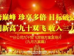 分公司九十双飞营销方案九月方案篇65页.pptx