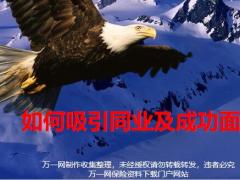 如何吸引同业及成功面谈13页.pptx