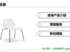 国寿政保产品理赔服务介绍31页.pptx