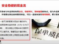增额终身寿的功能与作用18页.pptx